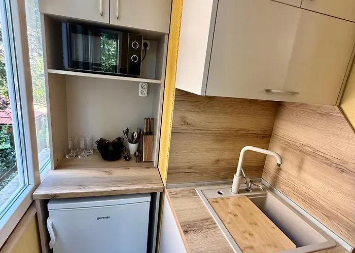 Please * Burgas City